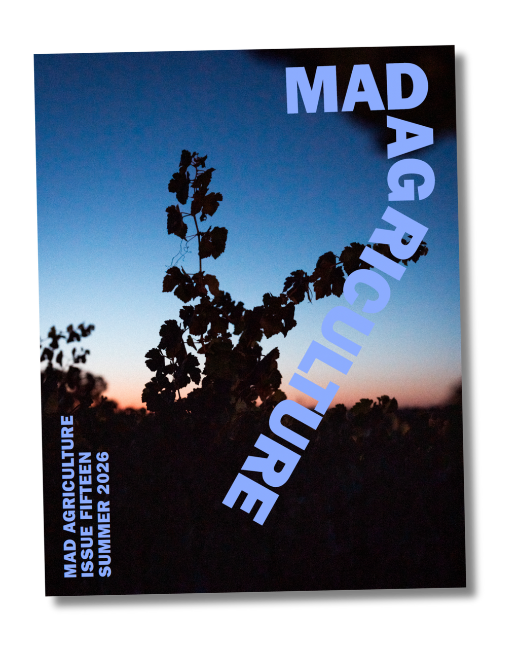 Journal Issue 15
