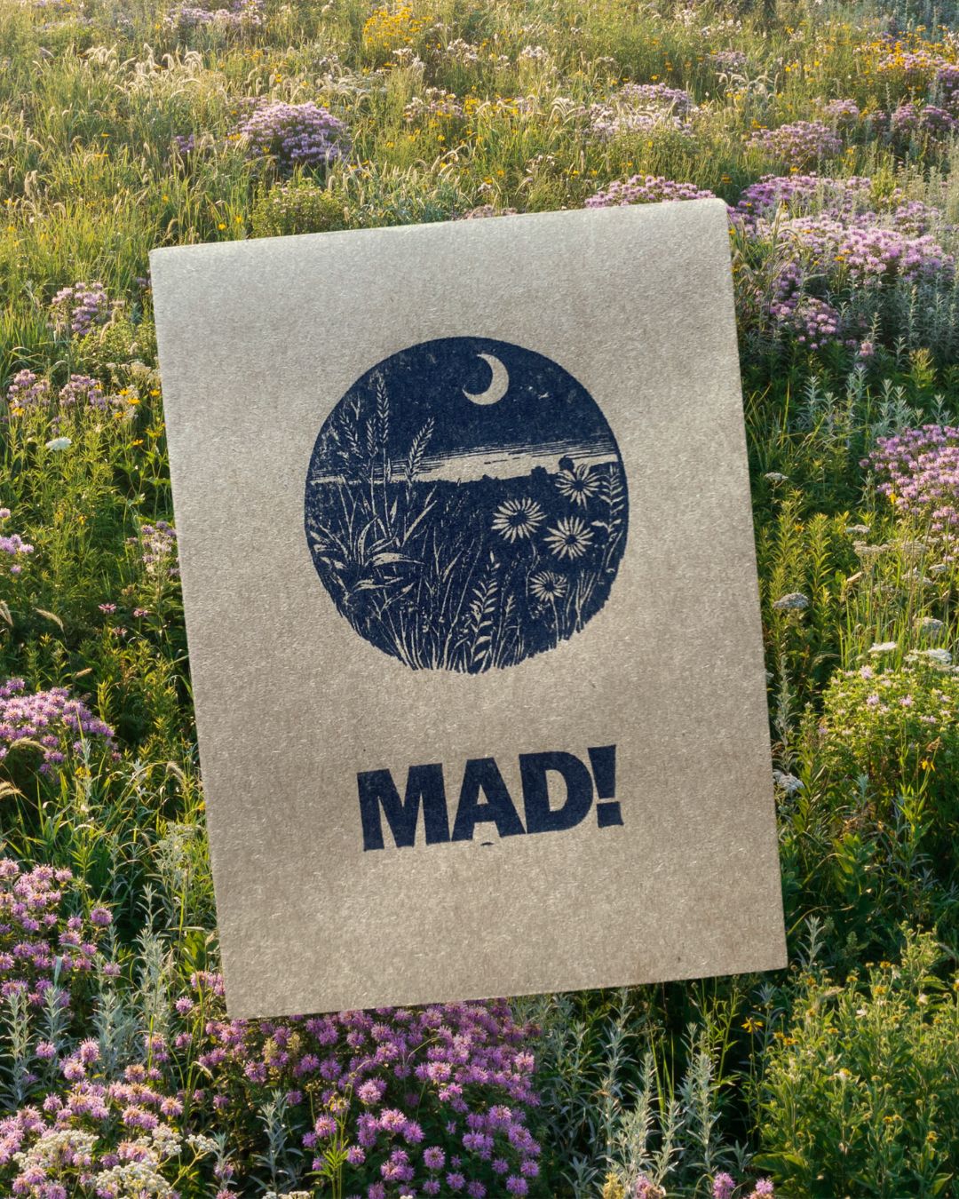 Prairie Strips Seed Packet x Meadowlark Organics Edition