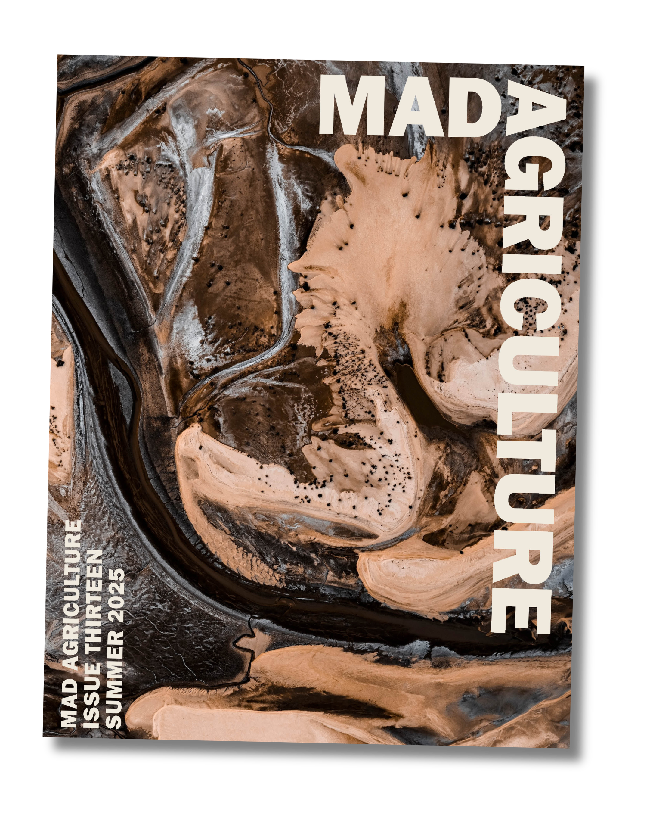 Journal Issue 13