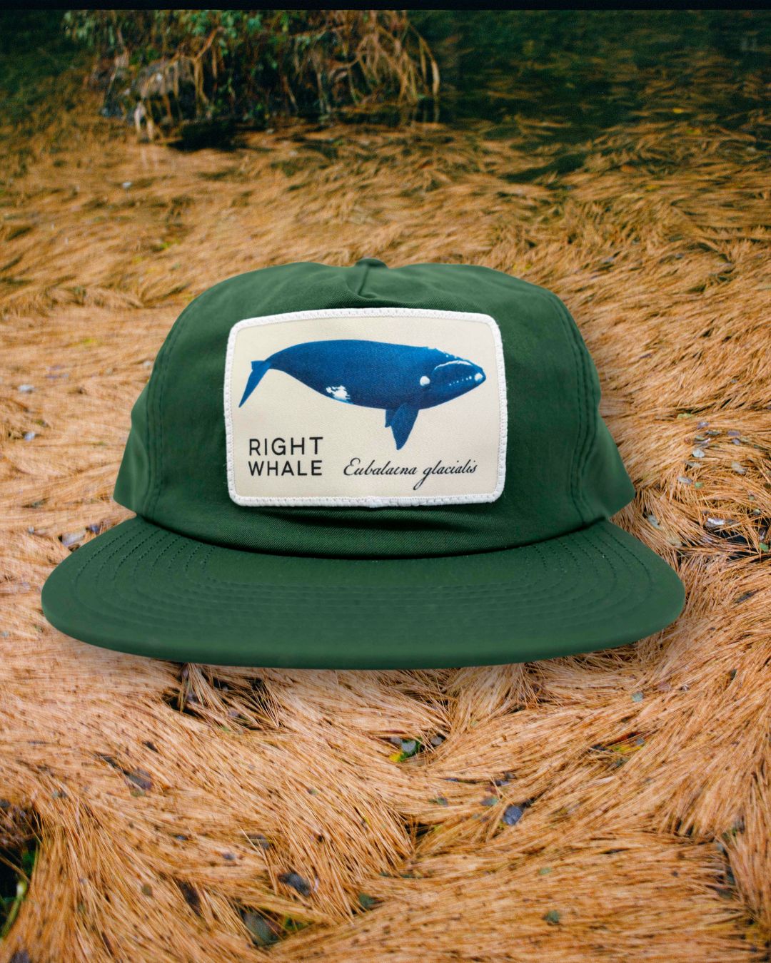 Right Whale Hat