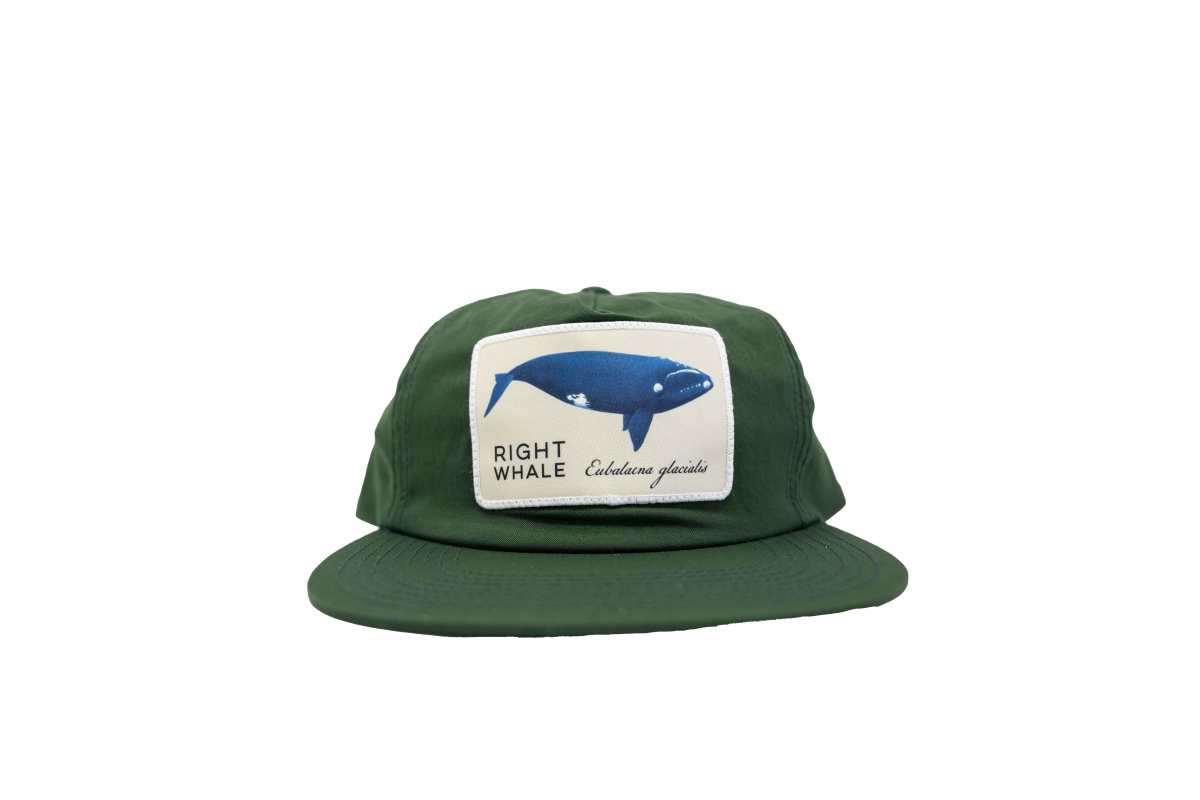 Right Whale Hat
