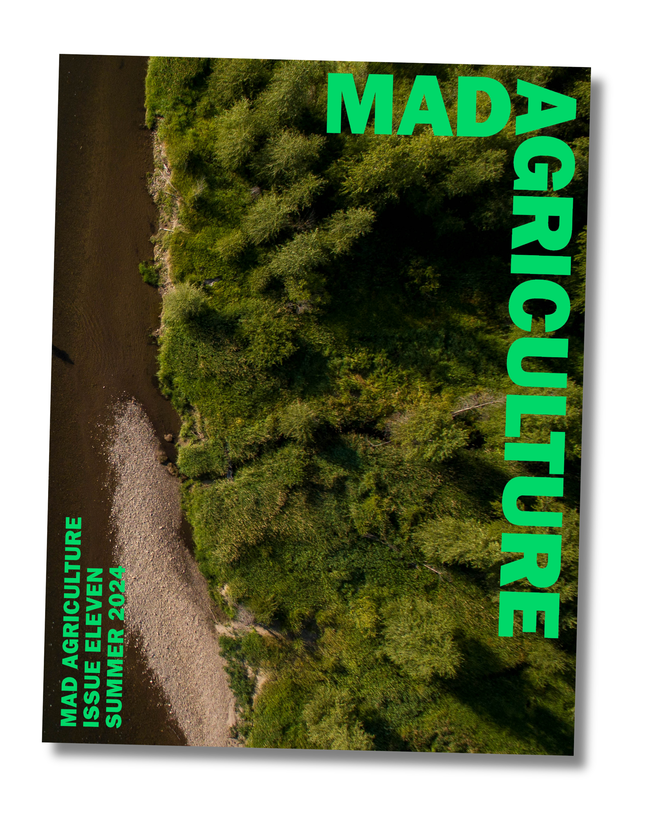 Journal Issue 11