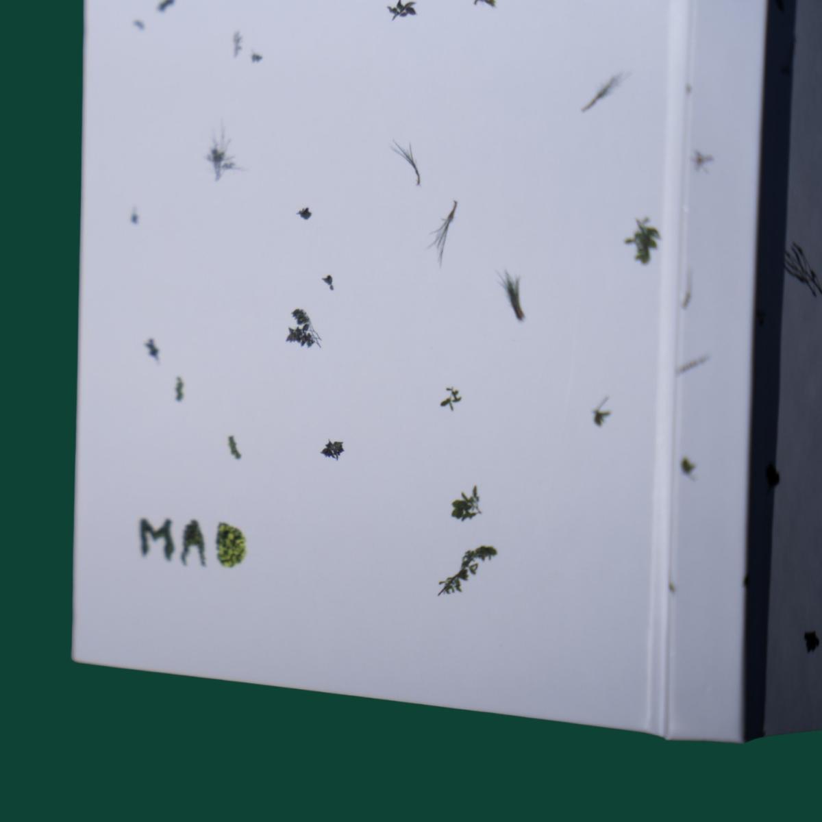 Mad! Notebook