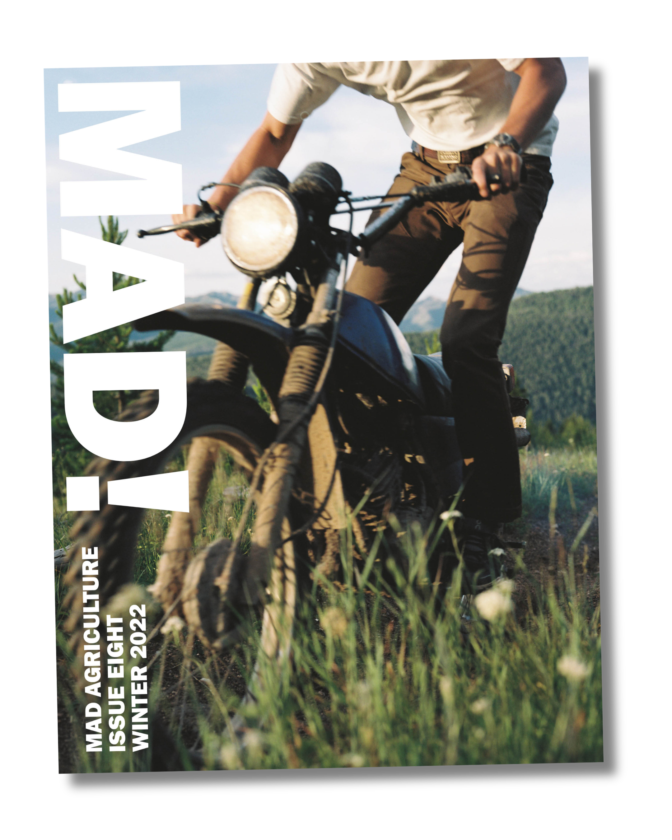 Journal Issue 8