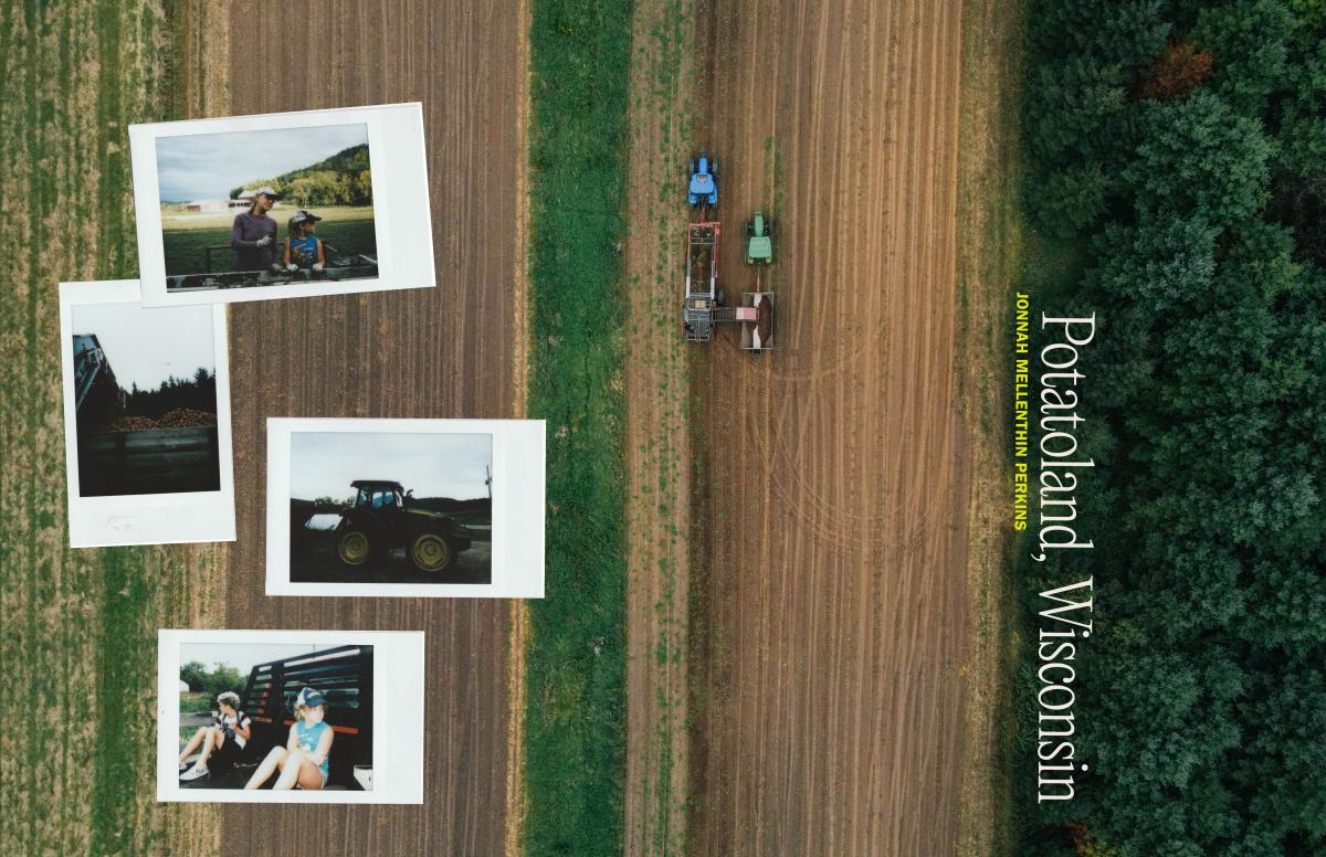 Journal Issue 8