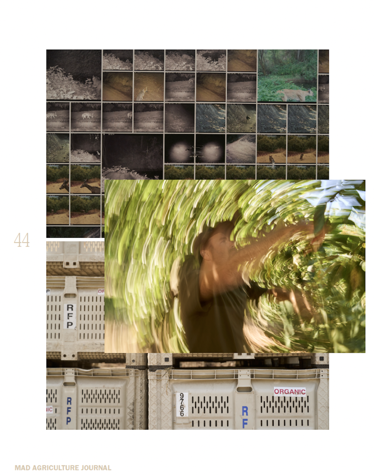 Journal Issue 14
