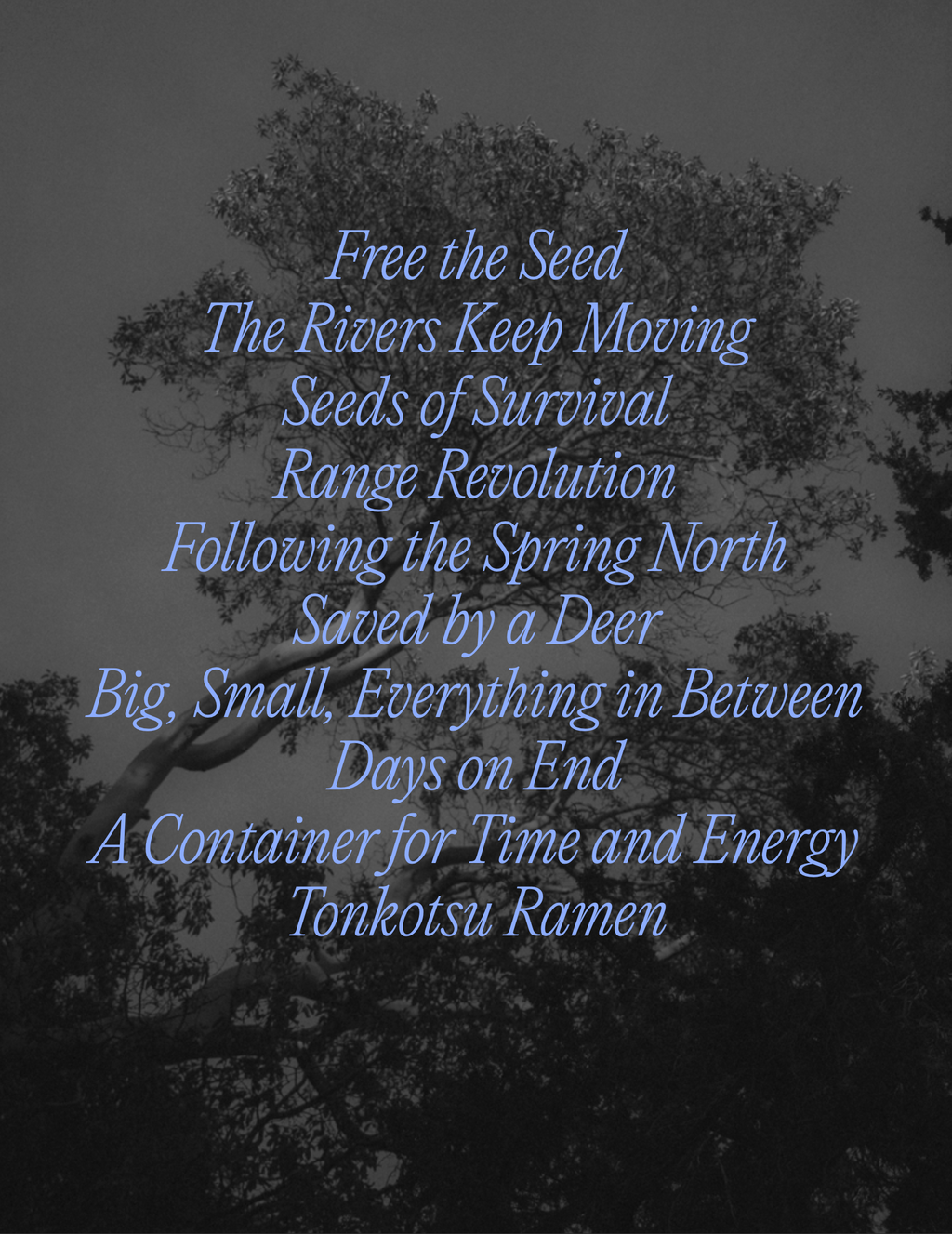 Journal Issue 15