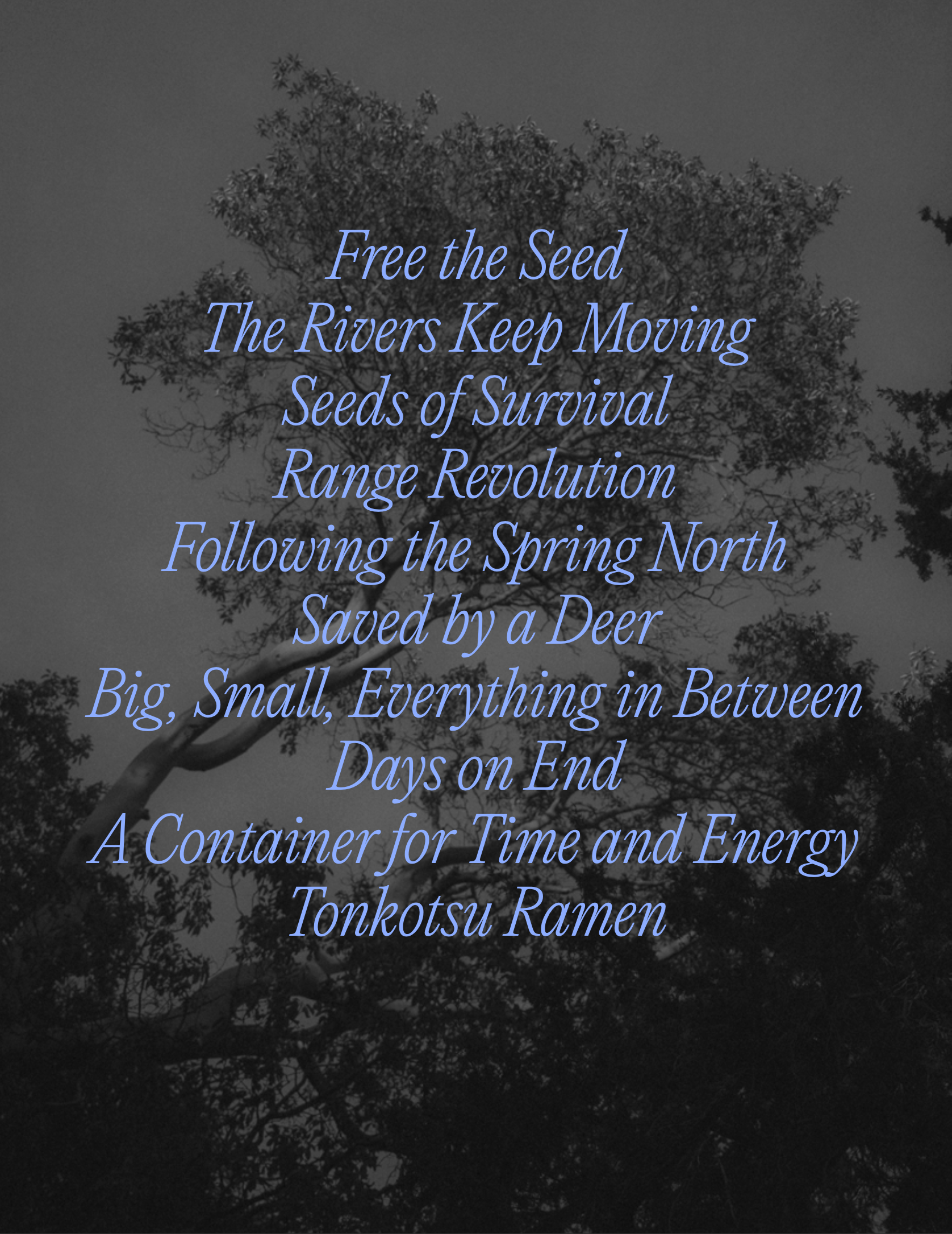 Journal Issue 15