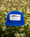 Sturgeon Hat
