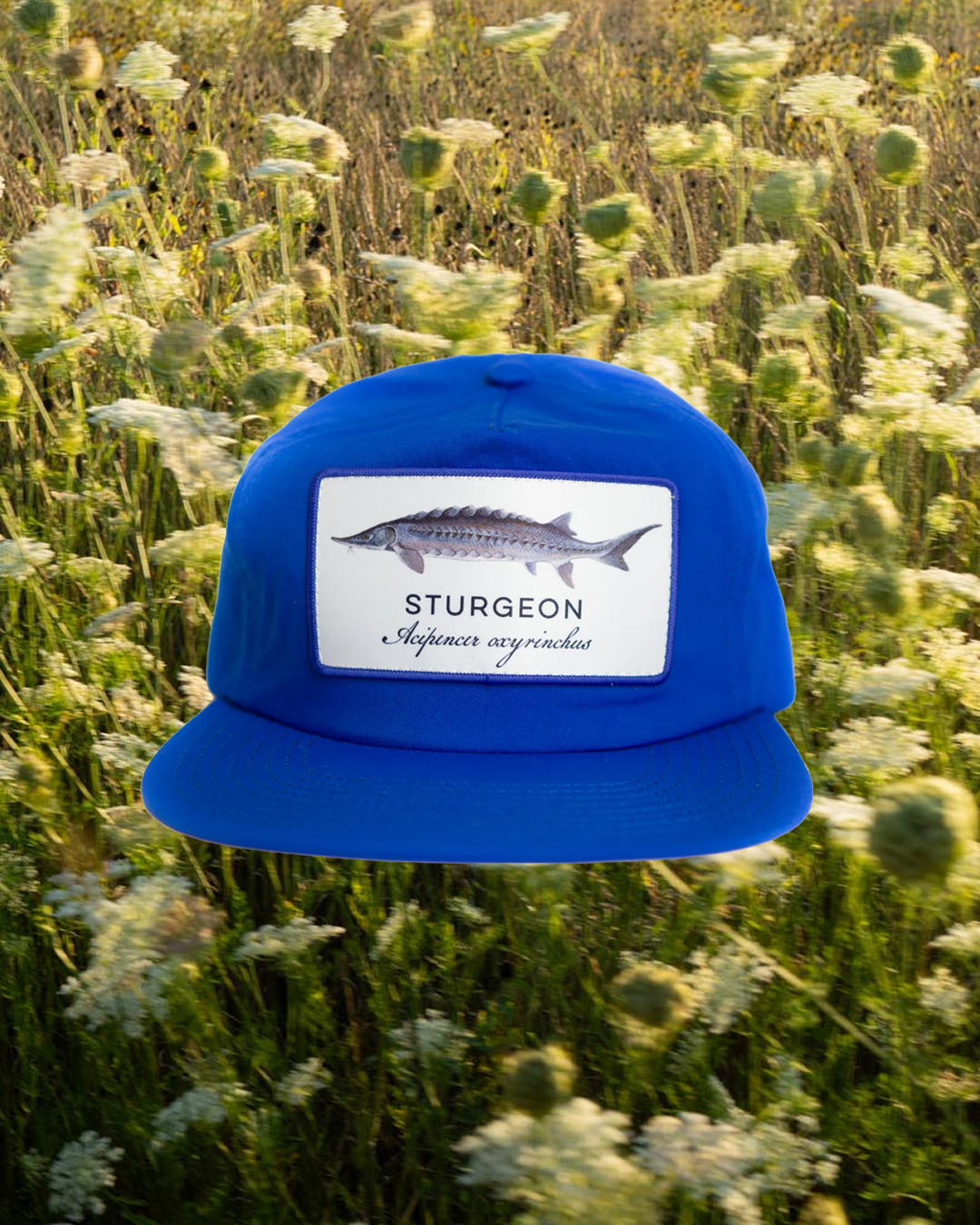 Sturgeon Hat