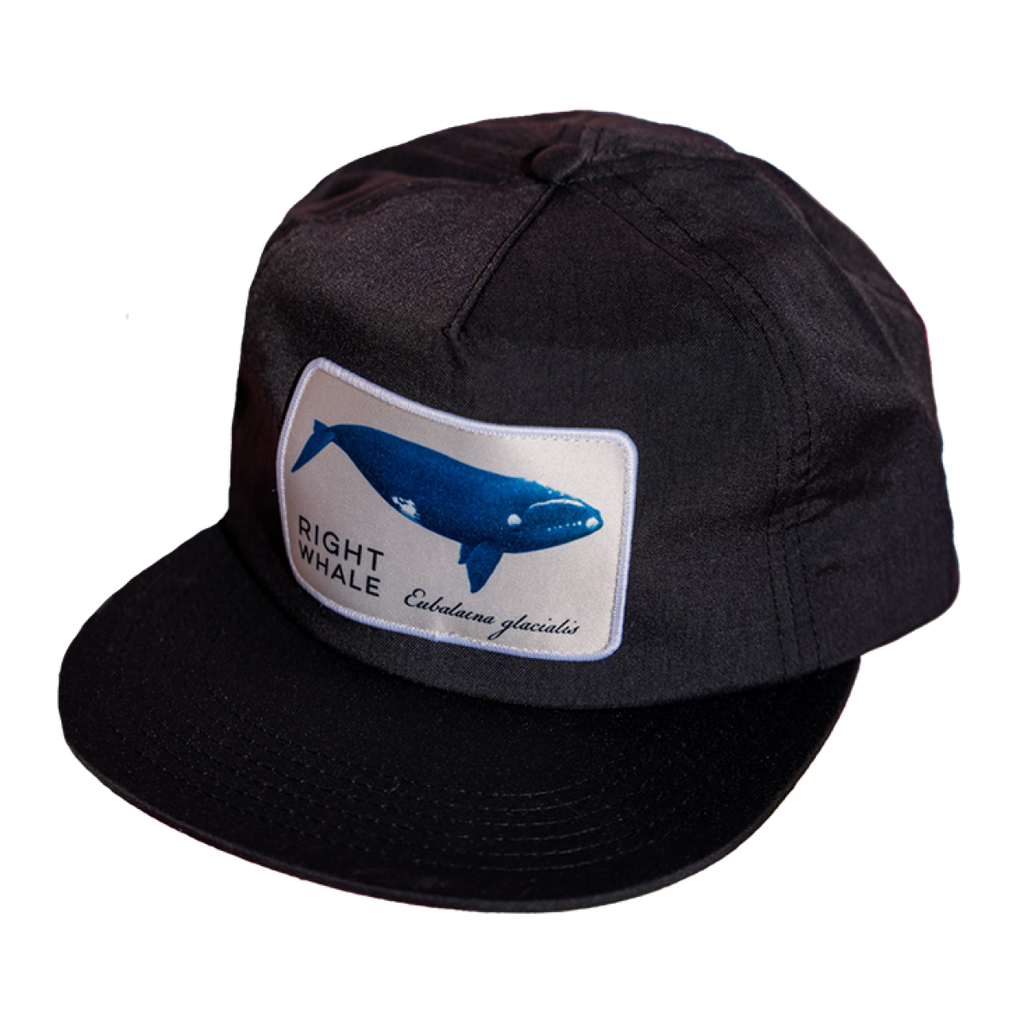 Right Whale Hat