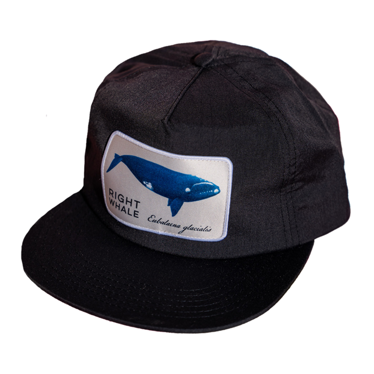 Right Whale Hat