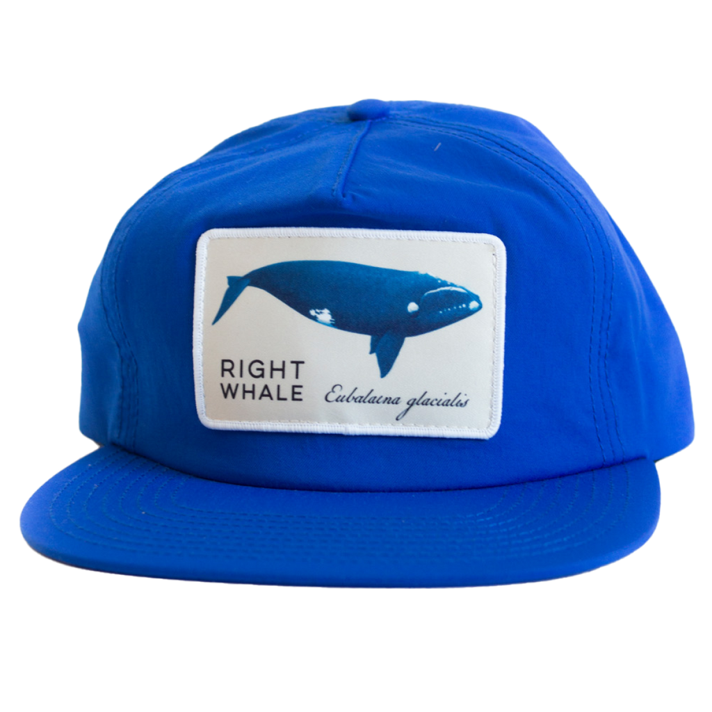 Right Whale Hat