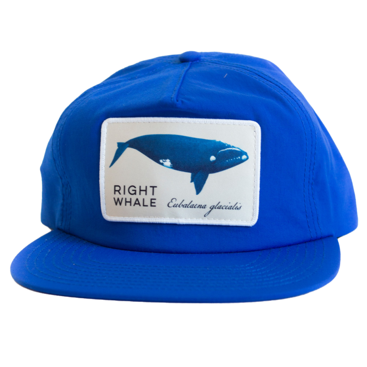 Right Whale Hat