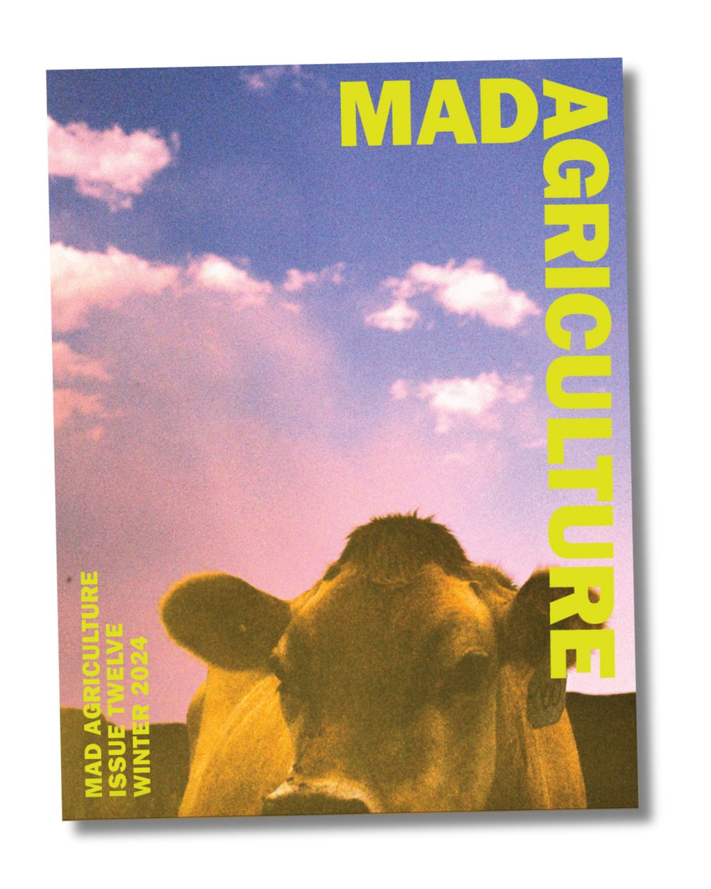 Journal Issue 12