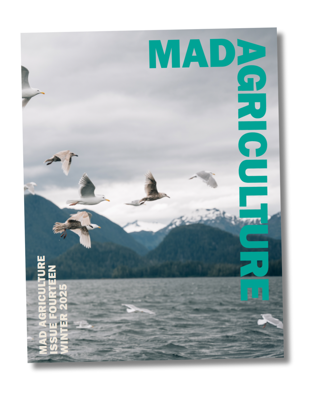 Journal Issue 14